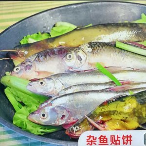 杂鱼贴饼  下单后4日...