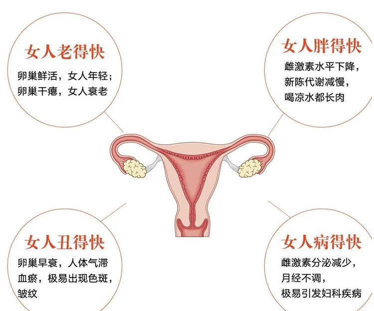 细节1.jpg