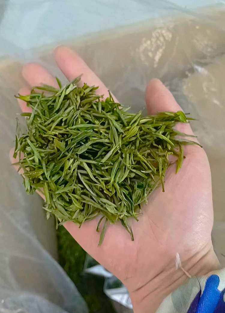 细节2.jpg